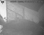 Capi_Dubne_20250907_041002.jpg