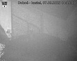 Capi_Dubne_20250907_041503.jpg
