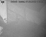Capi_Dubne_20250907_042502.jpg