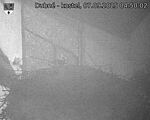 Capi_Dubne_20250907_045002.jpg