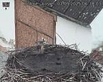 Capi_Dubne_20250907_063003.jpg