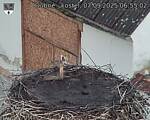 Capi_Dubne_20250907_065502.jpg