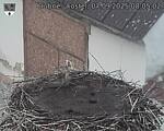 Capi_Dubne_20250907_080502.jpg