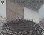 Capi_Dubne_20250907_082502.jpg