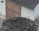 Capi_Dubne_20250907_084004.jpg