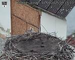 Capi_Dubne_20250907_091503.jpg