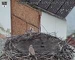 Capi_Dubne_20250907_092003.jpg