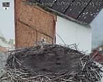 Capi_Dubne_20250907_094502.jpg