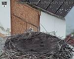 Capi_Dubne_20250907_095003.jpg