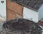 Capi_Dubne_20250907_102003.jpg