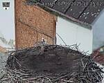 Capi_Dubne_20250907_102502.jpg