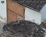 Capi_Dubne_20250907_103003.jpg