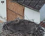 Capi_Dubne_20250907_110003.jpg