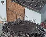 Capi_Dubne_20250907_111503.jpg