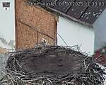 Capi_Dubne_20250907_113003.jpg