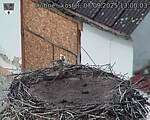 Capi_Dubne_20250907_130003.jpg