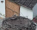Capi_Dubne_20250907_131502.jpg