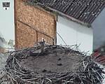 Capi_Dubne_20250907_141502.jpg