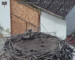 Capi_Dubne_20250907_142002.jpg