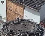 Capi_Dubne_20250907_144002.jpg