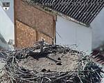 Capi_Dubne_20250907_161502.jpg