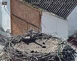 Capi_Dubne_20250907_163003.jpg