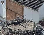 Capi_Dubne_20250907_163502.jpg