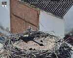 Capi_Dubne_20250907_164503.jpg