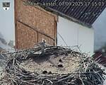 Capi_Dubne_20250907_171503.jpg
