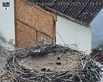 Capi_Dubne_20250907_173503.jpg