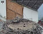 Capi_Dubne_20250907_181502.jpg