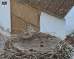 Capi_Dubne_20250907_191503.jpg