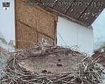 Capi_Dubne_20250907_192002.jpg