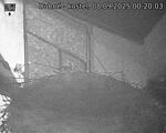 Capi_Dubne_20250908_002003.jpg