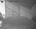 Capi_Dubne_20250908_003003.jpg
