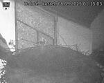 Capi_Dubne_20250908_011503.jpg