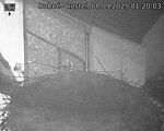 Capi_Dubne_20250908_012003.jpg