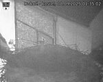 Capi_Dubne_20250908_013502.jpg