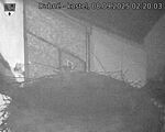 Capi_Dubne_20250908_022003.jpg