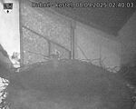Capi_Dubne_20250908_024003.jpg