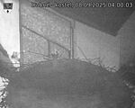 Capi_Dubne_20250908_040003.jpg