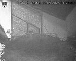 Capi_Dubne_20250908_042003.jpg