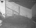 Capi_Dubne_20250908_043003.jpg