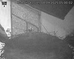 Capi_Dubne_20250908_050002.jpg
