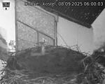 Capi_Dubne_20250908_060003.jpg