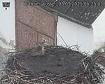 Capi_Dubne_20250908_062503.jpg