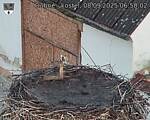 Capi_Dubne_20250908_065002.jpg