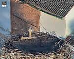 Capi_Dubne_20250908_071003.jpg