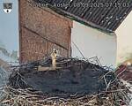 Capi_Dubne_20250908_071503.jpg