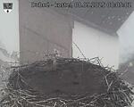 Capi_Dubne_20250908_080502.jpg